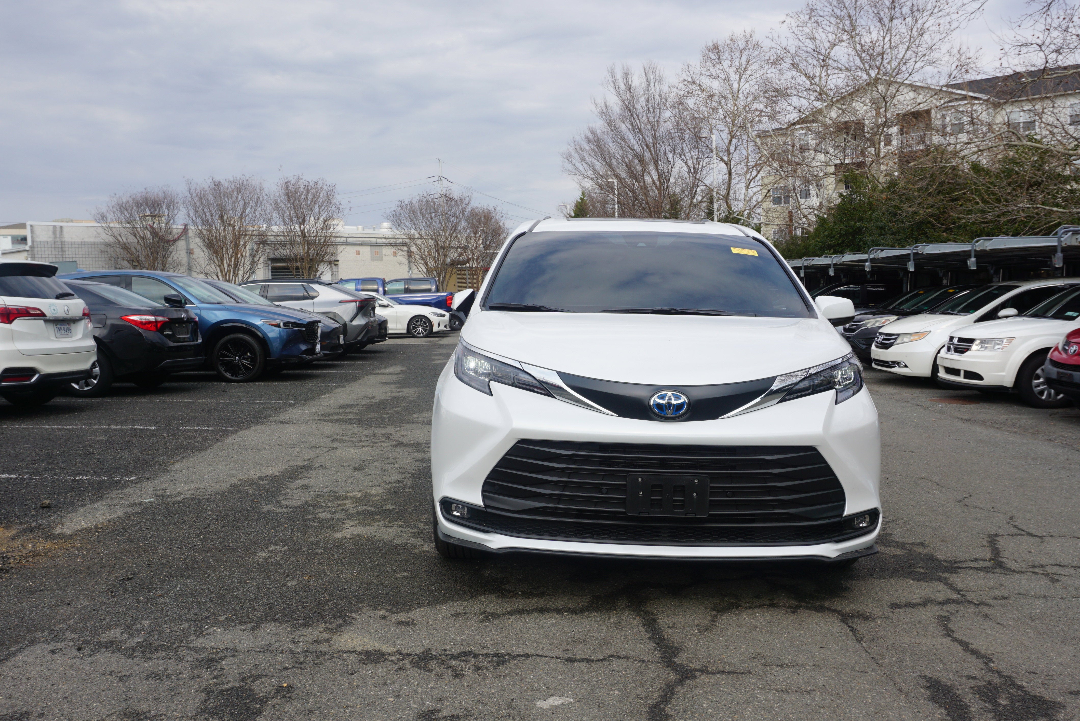 2025 Toyota Sienna XLE