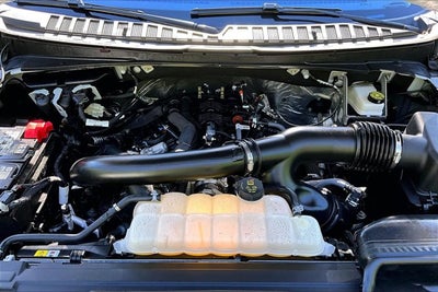 2025 Ford Expedition Max Active MAX