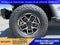 2026 Jeep Gladiator GLADIATOR SHADOW OPS 4X4