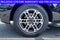 2025 Ford Expedition Active MAX