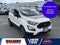 2020 Ford EcoSport SES