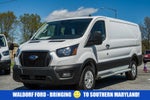 2024 Ford Transit Cargo Van 250