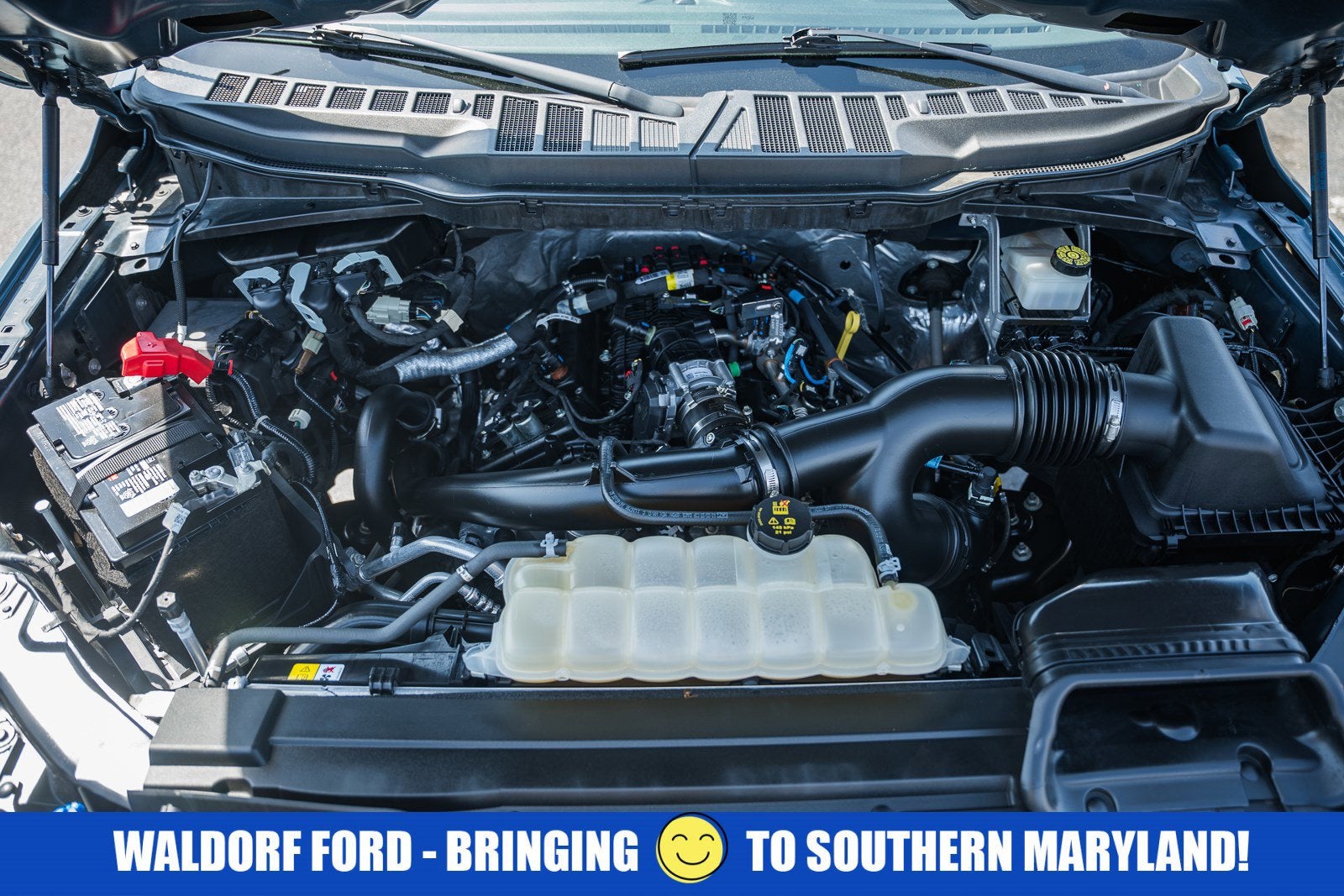 2023 Ford F-150 2WD