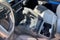 2025 Toyota Tacoma i-FORCE MAX TRD Off Road