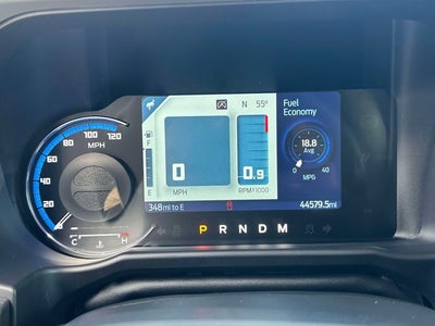 2024 Ford Bronco Everglades